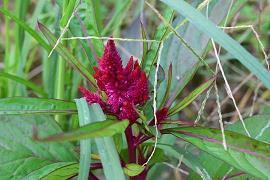 服装文案吸引人的句子秋装