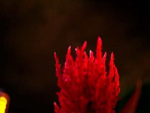 简单干净的抖音最火文案