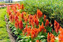 很甜很撩的句子 有了你，世界更精彩，有了你，星空更灿烂