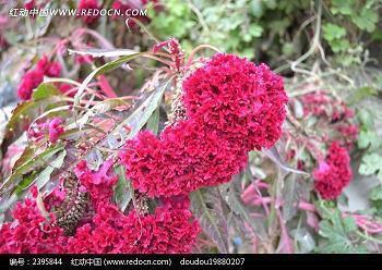 一年级描写冬天美的句子(精选68句)