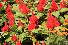 关于旅行唯美句子57句