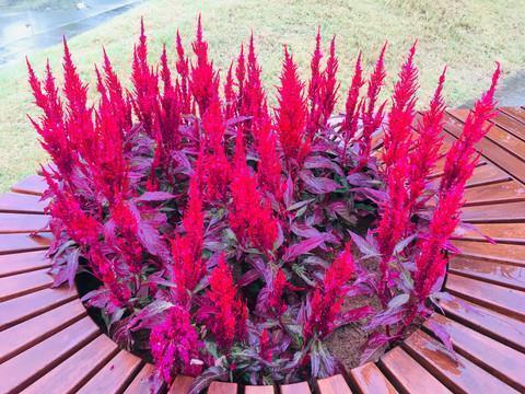 晚安鼓励自己的句子收集26句