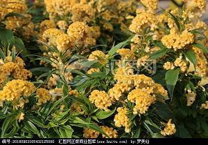 晚安励志语 睡前正能量短句摘抄27句