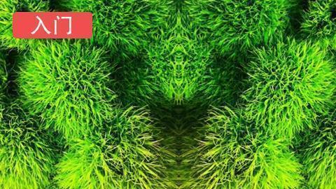 唯美淡淡忧伤的句子