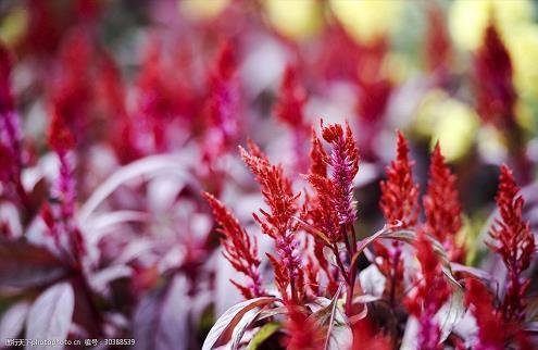 爱的太累想放弃句子