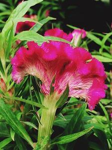 5月再见6月你好的句子唯美说说合集93句