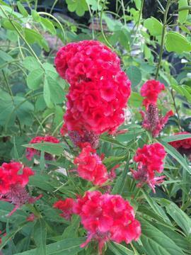 祝福一家人温馨的句子简短