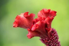 高考祝福语金榜题名正能量的文案句子55句