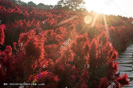 最污到爆问题男生 带点套路的真心话精选77句
