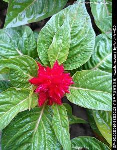 每天祝福语开心的句子