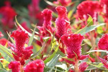 温柔到爆炸的小众文案 特别温柔治愈的文案摘抄17句