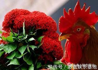 早晨正能量句子说说 早安正能量句子(精选55句)