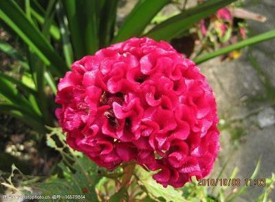 伤感的歌入心的句子