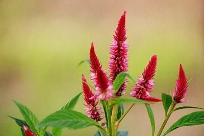 时间沧桑的句子31句