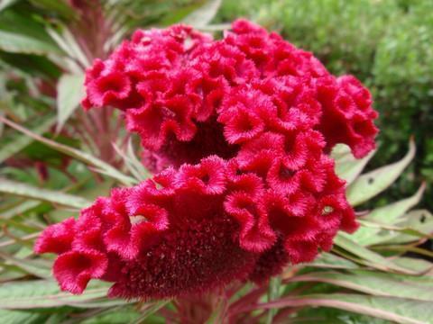 晚安正能量朋友圈简短 晚安的朋友圈说说汇编57句