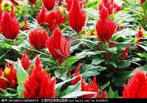 表示没劲心烦的句子