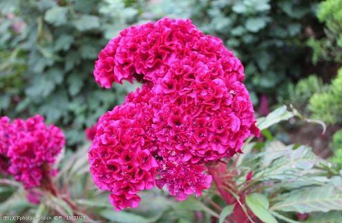 空间留言爱情句子短句