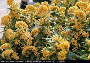 有关于分手后的说说汇编49句