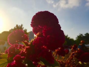 给孩子加油打气励志的句子55句