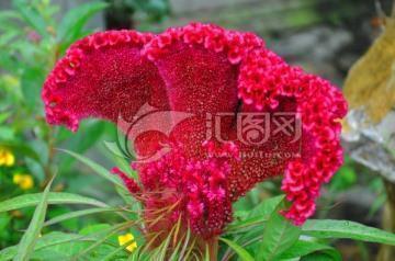 积极努力的正能量句子励志汇总99句