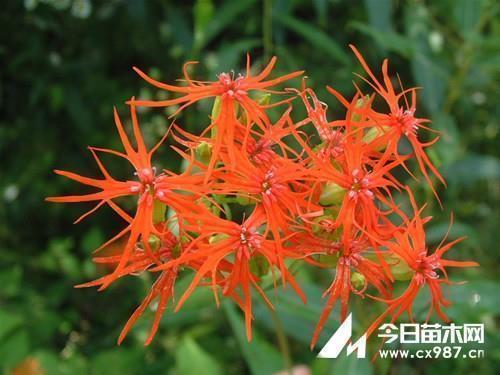最美晚安心语短句收录22句