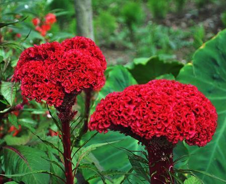 描述工作心情复杂的句子65句