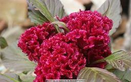 让女生成熟的扎心语录短句