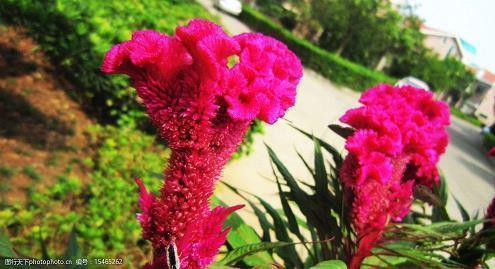 适合天冷发朋友圈的说说 形容天气很冷的朋友圈句子收集14句