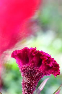 男人对一个人失望的句子