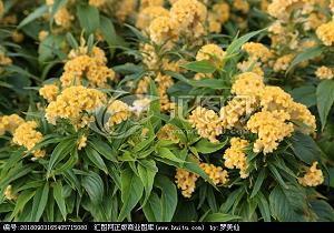 小学生优美句子短句(精选44句)