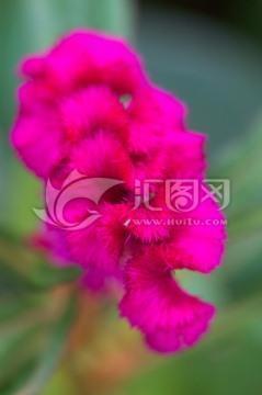 很伤感的爱情句子 虐心爱情语录(精选57句)