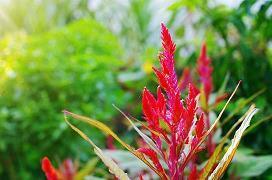 最近热门的文案广告(精选53句)