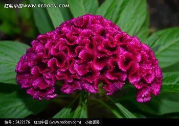 赞美夏天的优美句子100句推荐70句