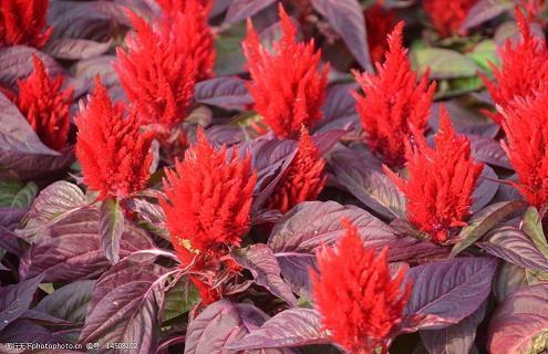 谈恋爱该说些什么 谈恋爱聊什么话题 第一次谈恋爱怎么聊天没