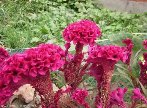 骂人顺口溜大全，骂人的话顺口溜短句精选30句