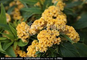 秋季新学期开学励志名言语录(精选99句)