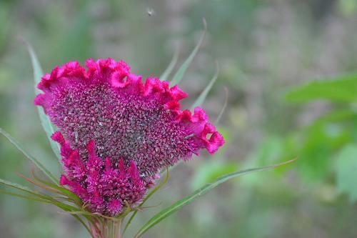 早安暖心话短句 每天以最好的状态迎接生活的说说集合21句