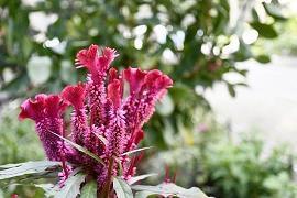 独自过节的悲伤句子