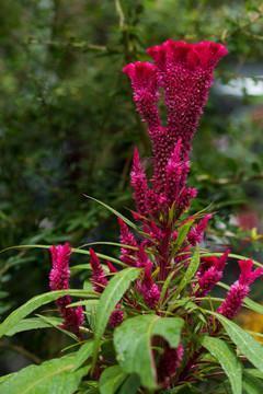 描述时间流逝的句子唯美