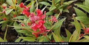 回忆过去的朋友圈句子(精选33句)