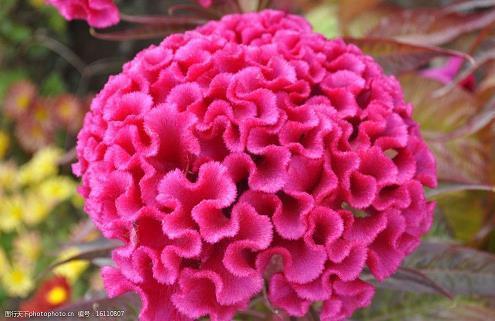 喜迎国庆的内容怎么写 迎国庆的句子文案(精选54句)