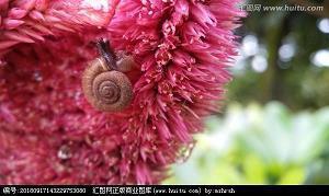 四年级好词好句简短优美的
