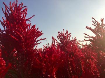 适合2022跨年发朋友圈的句子 关于跨年的唯美句子(精选39句)