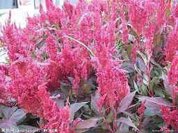 最好的告别经典句子 适合告别的文案