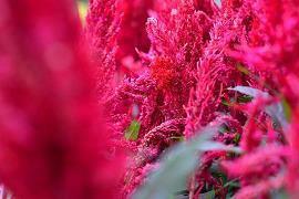 每日一句晚安心语心情很压抑的说说精选76句