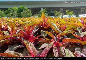 睡前发圈万人点赞的句子 晚上吸引朋友圈的句子(精选69句)