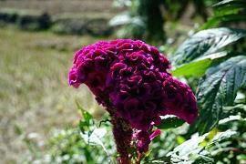 对人失望想离开的句子说说心情