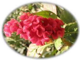 关于爱情的句子简短