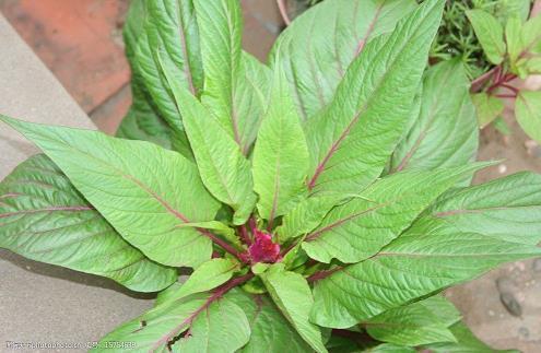 赞美时光静好的短句说说