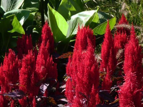 描写炎热的夏天的好句子合集38句